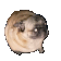 :PugPls: