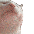 :catJAM: