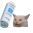 :catbonk: