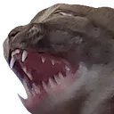 :angrycat: