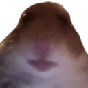 :Bruh: