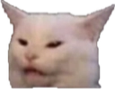 :CatWhat: