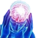 :BigBrain: