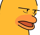 :duck_hmm: